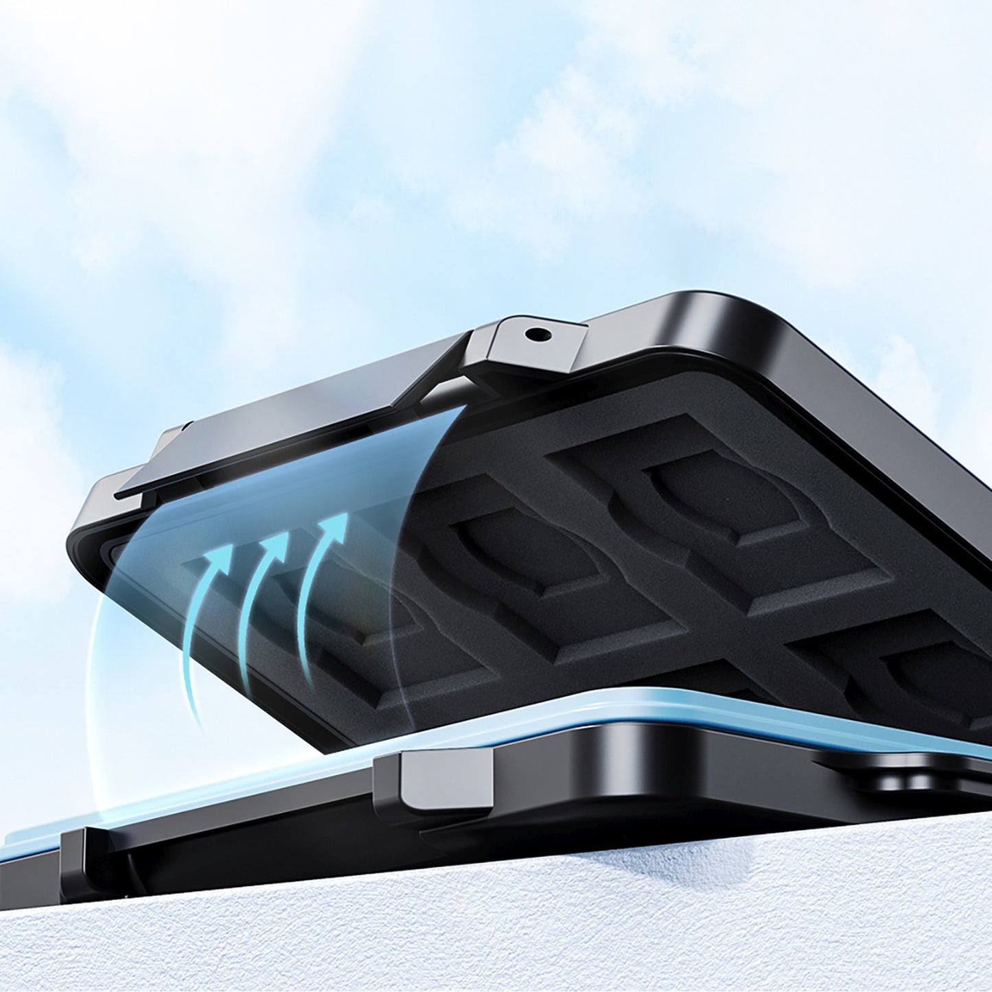 Computer Accessories – Case for memory cards and data carriers - Carlat