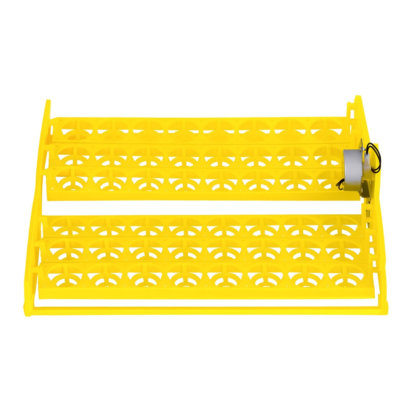 Egg Incubators – Incubator hatcher for hatching 48 eggs + - Carlat