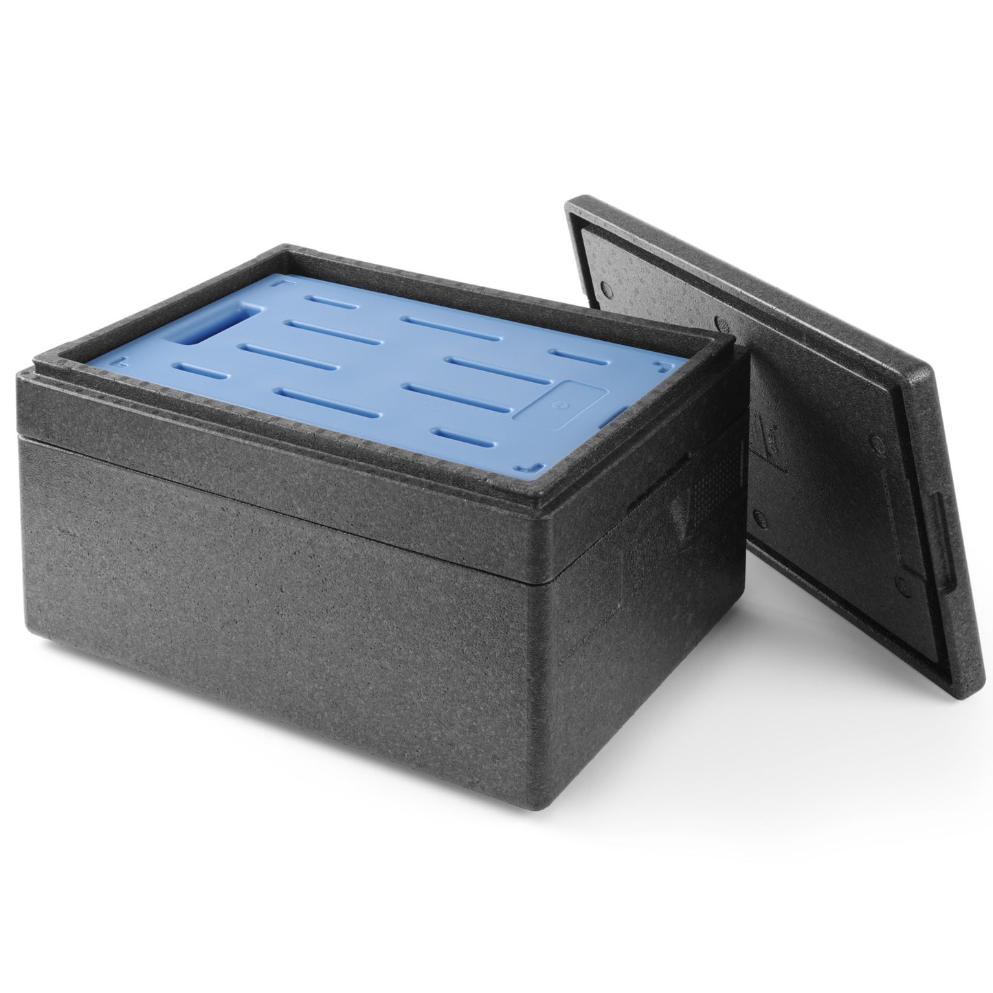 Food Storage Containers – Cooling element GN 1/1 for thermo-insulated - Carlat