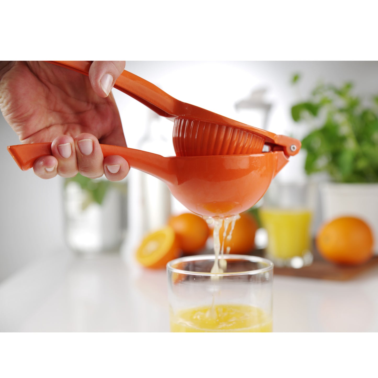Kitchen Tools & Utensils – Hendi 592069 orange juicer - Carlat