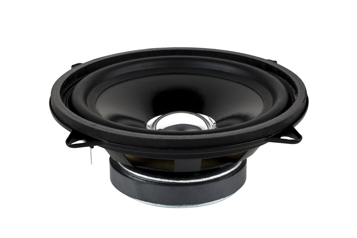 Dibeisi The remaining – 5" DBS-G1301 8-ohm Speaker (with mounting tabs)