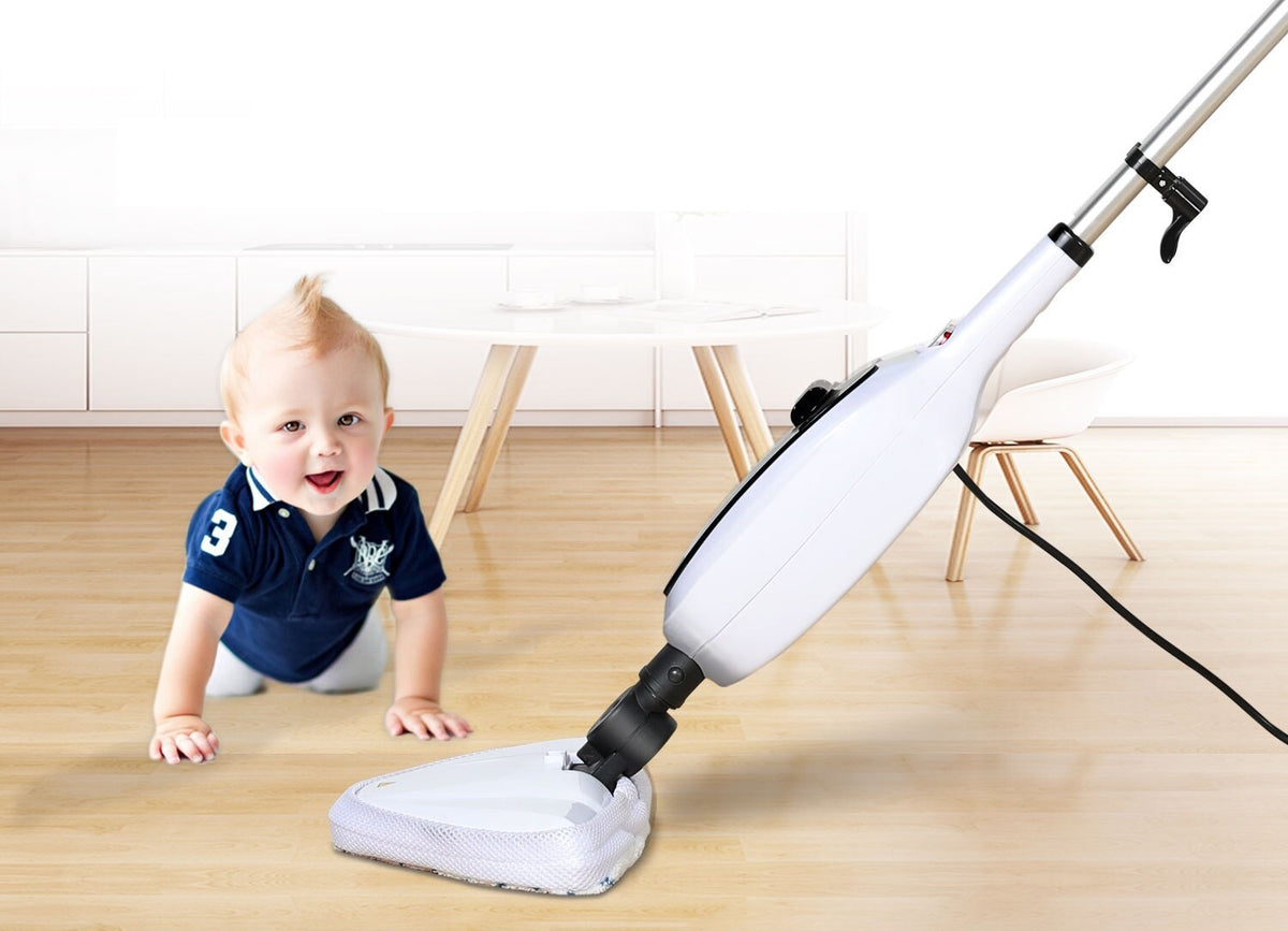 The remaining – Blue Steam Mop - Carlat