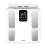 Bathroom Scales