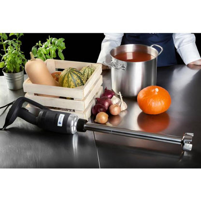 Strong blender hand robot arm length 250mm 350W 230V Royal Catering – image 17