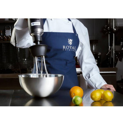 Powerful blender blender hand robot with beater 500W 230V Royal Catering