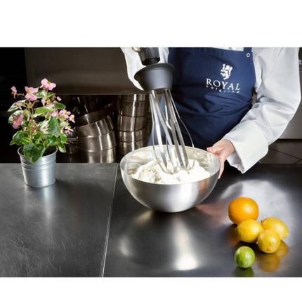 Powerful blender blender hand robot with beater 500W 230V Royal Catering