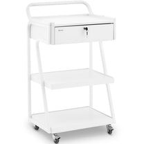 Cosmetic Tools – Hairdressing beauty helper trolley 1 drawer 3 - Carlat