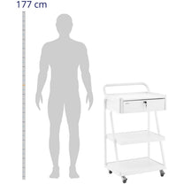 Cosmetic Tools – Hairdressing beauty helper trolley 1 drawer 3 - Carlat