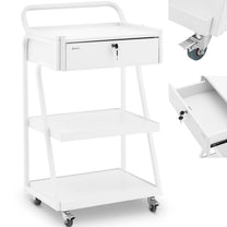 Cosmetic Tools – Hairdressing beauty helper trolley 1 drawer 3 - Carlat