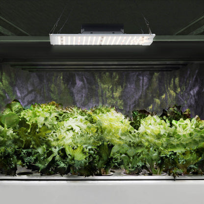 Hillvert A growing lamp for growing plants full spectrum 30 x 24 cm 234 LED 110 W silver – image 8