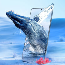 Retail Display Cases – Tempered glass is Xiaomi 12/12Pro HONOR - Carlat
