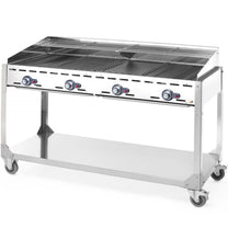 Outdoor Grill Accessories – Grill gazowy "Green Fire" 4 palniki - Carlat