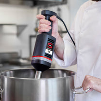 Hand blender with mixing arm and killing arm MB-21 300 W - Sammic 3030634 - Carlat