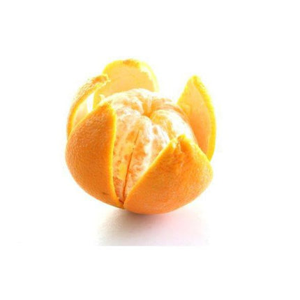 Stainless steel citrus peeling knife - Hendi 856055