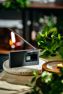 AD 1198 Portable Radio - LCD - FM - Bluetooth - Clock - Carlat