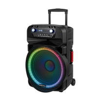 Active speaker (with 2 UHF wireless microphones, SD, Bluetooth, FM, USB, LED) 60 watts - Carlat