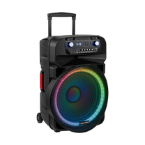 Active speaker (with 2 UHF wireless microphones, SD, Bluetooth, FM, USB, LED) 60 watts - Carlat