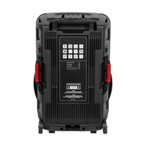 Active speaker (with 2 UHF wireless microphones, SD, Bluetooth, FM, USB, LED) 60 watts - Carlat
