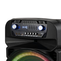 Active speaker (with 2 UHF wireless microphones, SD, Bluetooth, FM, USB, LED) 60 watts - Carlat