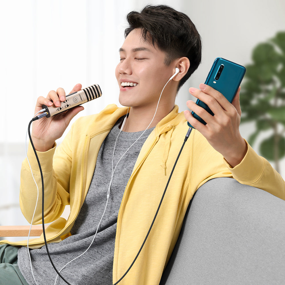 Audio & Video Cables – AUX audio cable mini jack - Carlat