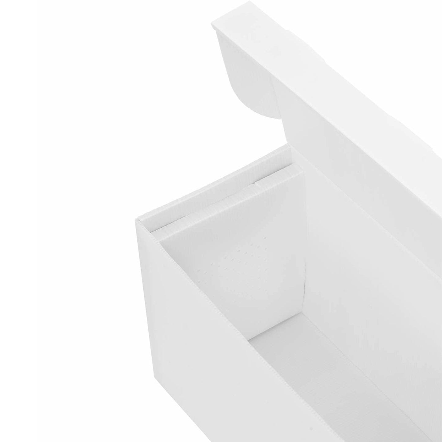 Beekeeping Equipment – Langstroth's plastic nuc hive for 5 frames - Carlat