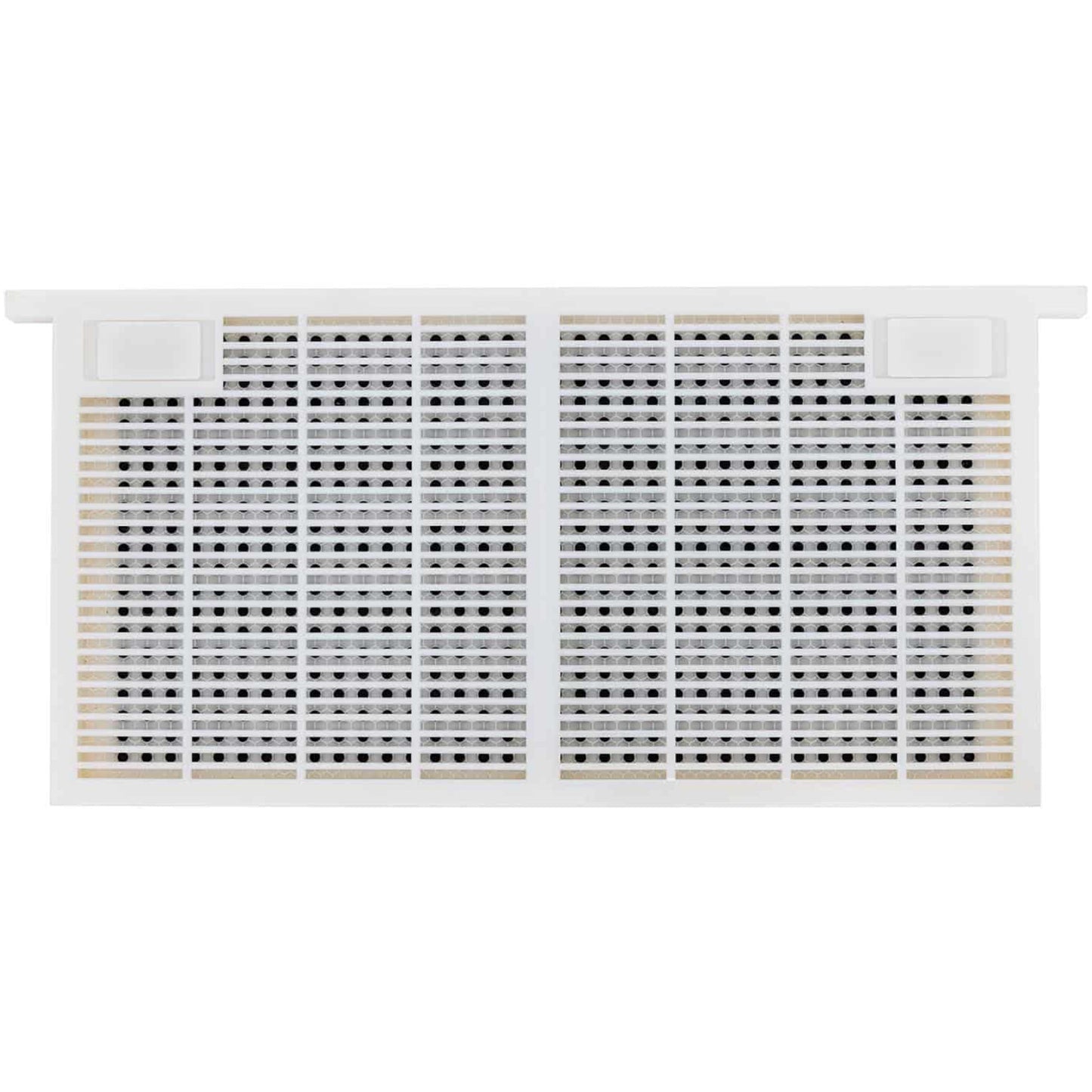 Beekeeping Equipment – Set for raising bee queens, plastic, 483 - Carlat