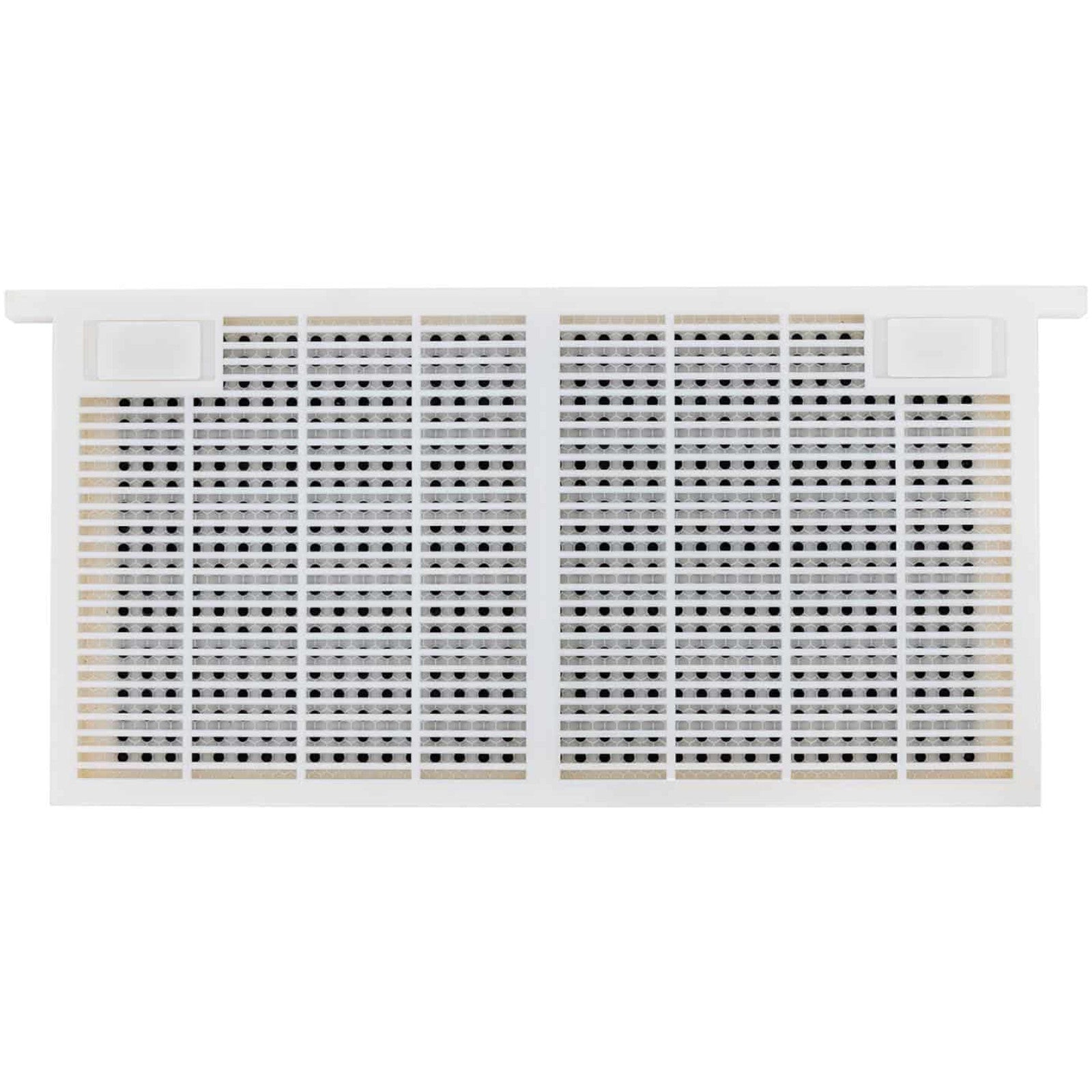 Beekeeping Equipment – Set for raising bee queens, plastic, 483 - Carlat