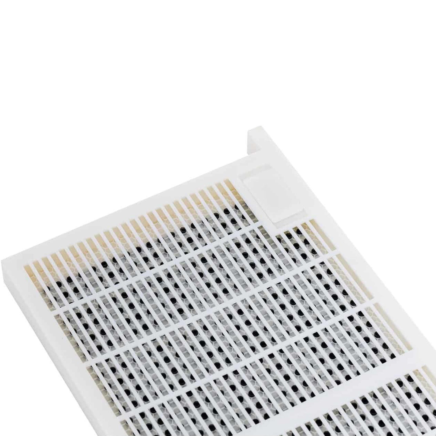 Beekeeping Equipment – Set for raising bee queens, plastic, 483 - Carlat
