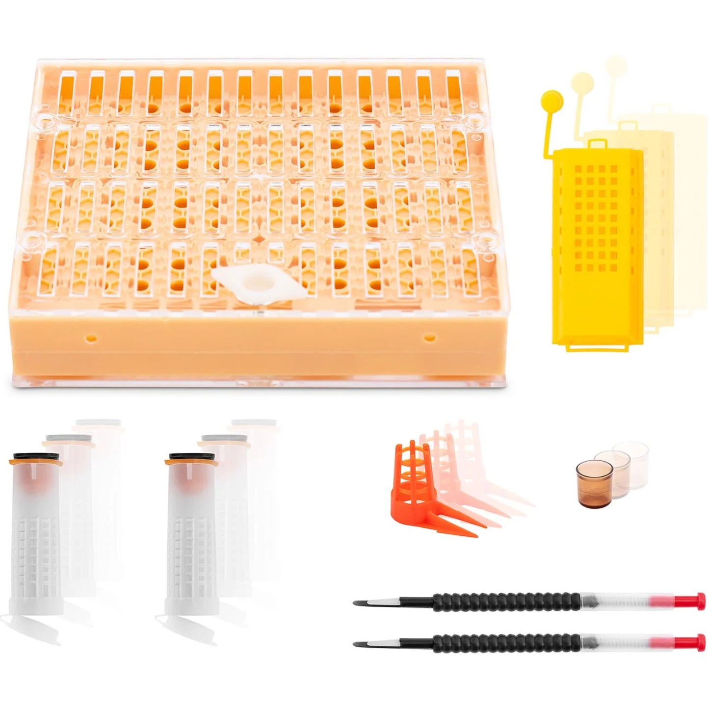 Beekeeping Equipment – Set of tools for raising bee queens - Carlat