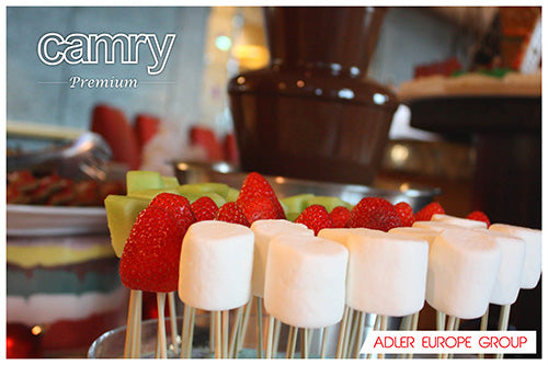 CAMRY Chocolate Fountains – CR 4457 Chocolate Fountain – image 7