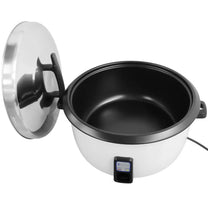 Climate Control Appliances – Rice cooker pot electric rice cooker - Carlat