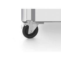 Commercial Refrigerators – Szafa mroźnicza 2-drzwiowa Profi Line 6 x - Carlat