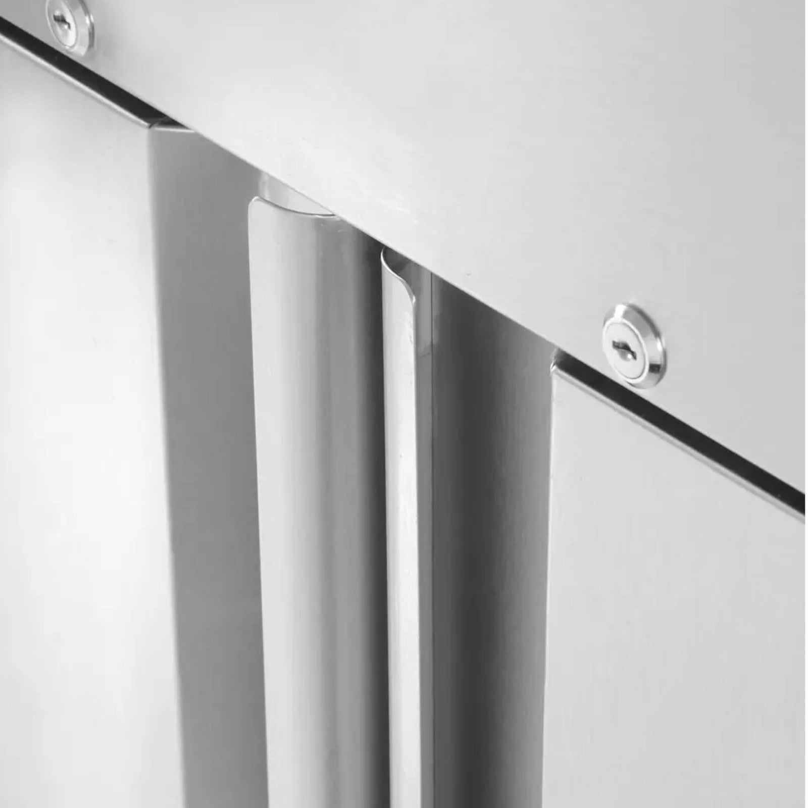 Commercial Refrigerators – Szafa mroźnicza zamrażarka gastronomiczna 2-drzwiowa Profi Line - Carlat