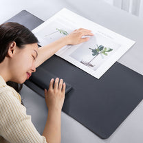 Computer Accessories – Desk mat for MagPro Series II laptop - Carlat