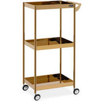 Cosmetic Tools – Hairdressing beauty assistant 3 shelves - gold - Carlat