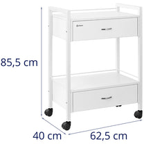 Cosmetic Tools – Hairdressing beauty helper trolley 2 drawers 2 - Carlat