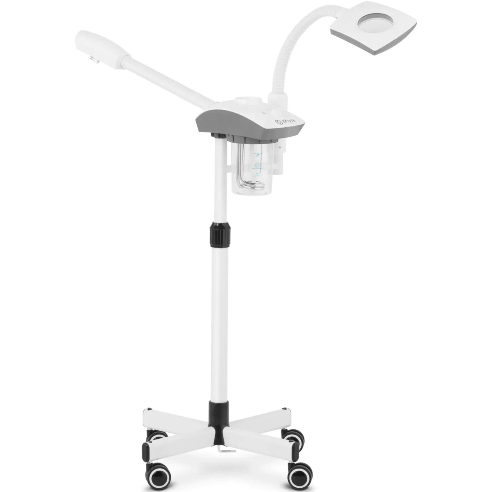 Cosmetic facial steamer with aromatherapy function and 750 W lamp - Carlat