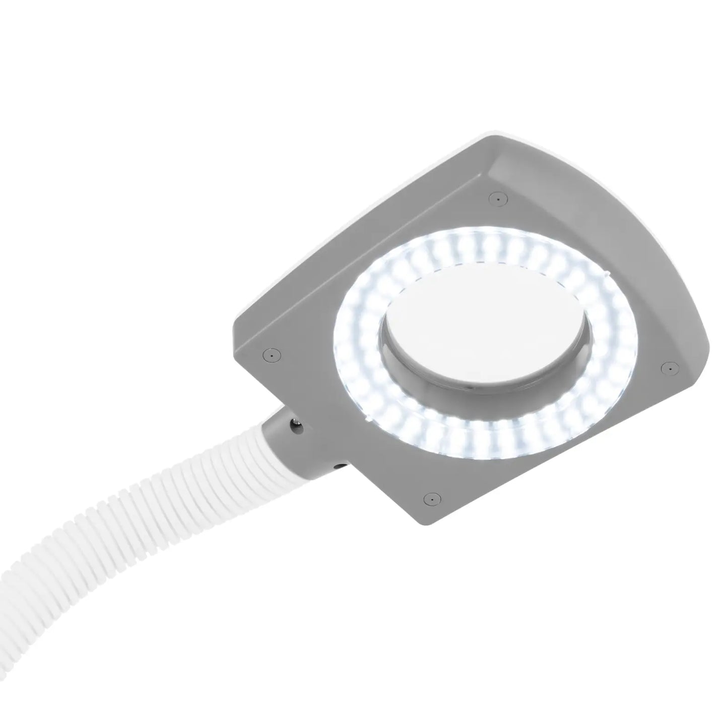 Cosmetic facial steamer with aromatherapy function and 750 W lamp - Carlat