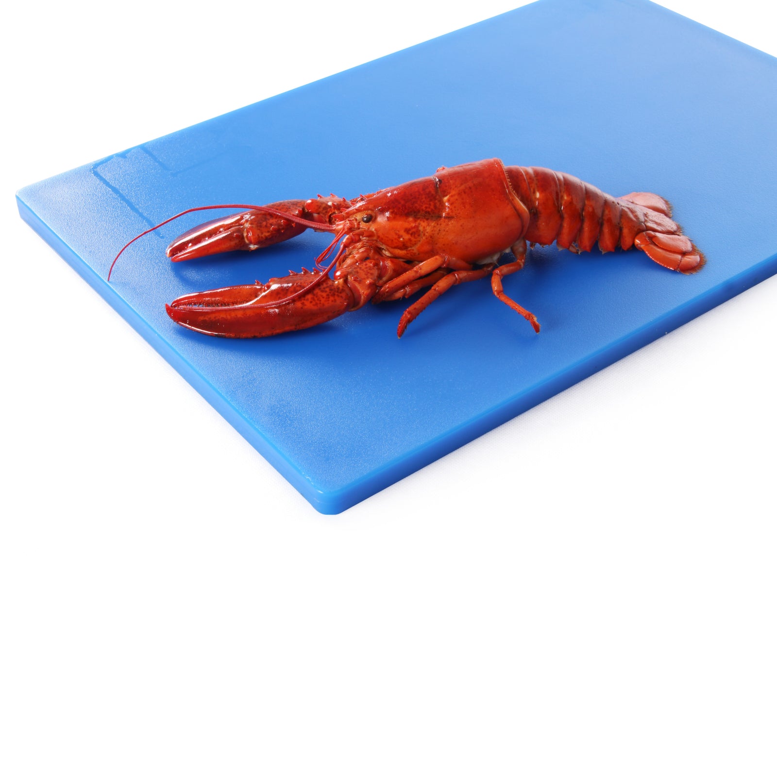 Cutting Boards – HACCP cutting board for fish 450x300mm blue - Carlat