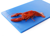 Cutting Boards – HACCP cutting board for fish 450x300mm blue - Carlat