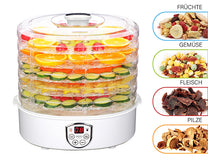 CAMRY Dehydrators for – CR 6659 Dehydrator for Mushrooms, Herbs, and Food – image 9