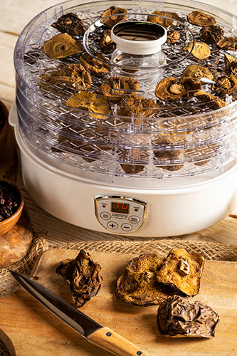 CAMRY Dehydrators for – CR 6659 Dehydrator for Mushrooms, Herbs, and Food – image 16