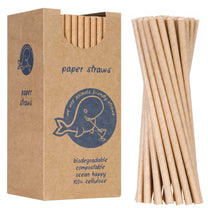 Disposable Tableware – BIO ecological paper straws PAPER STRAWS thick - Carlat