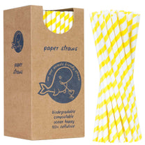 Disposable Tableware – BIO ecological paper straws PAPER STRAWS thick - Carlat