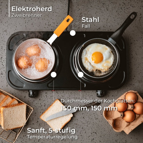 Electric, gas, induction, and microwave – MS 6509 Two-burner Electric Stove - Carlat
