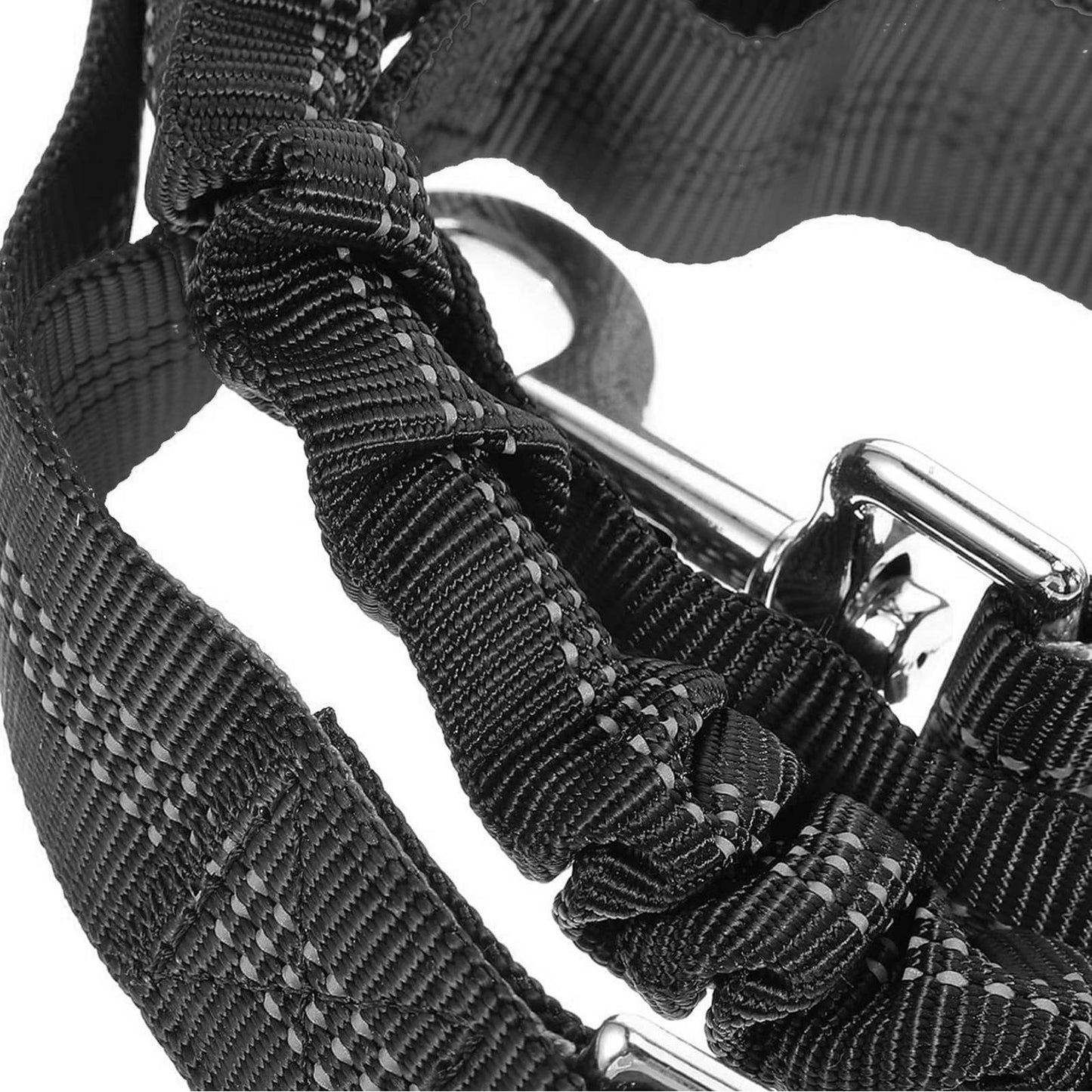 Fitness exercise – Waist belt for running with a dog - Carlat
