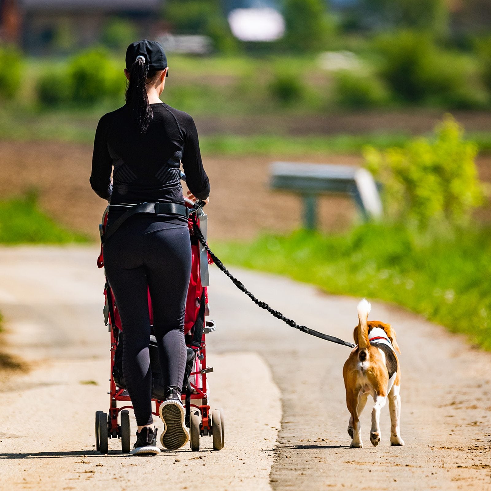 Fitness exercise – Waist belt for running with a dog - Carlat