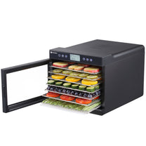 Food Dehydrators – Food dryer for vegetables, fruits, mushrooms, herbs, - Carlat