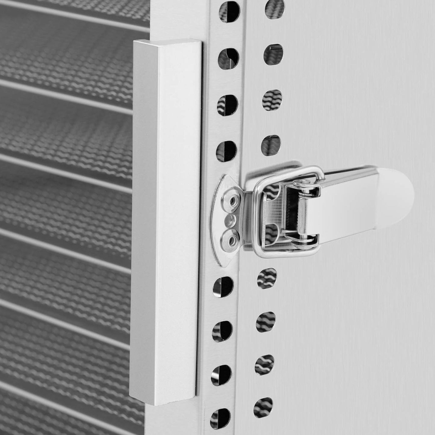 Food Dehydrators – Professional food dryer for herbs, fruits and - Carlat