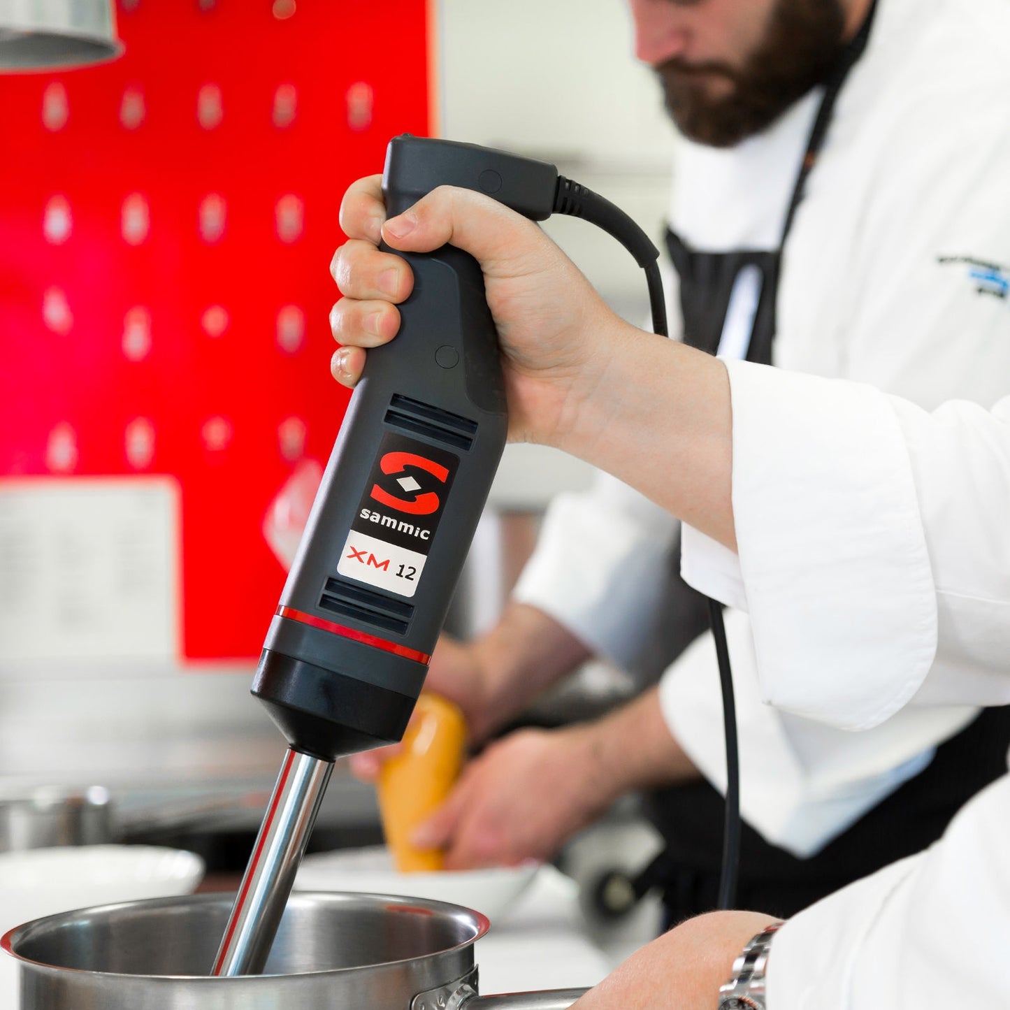 Food Mixers & Blenders – Hand blender mixer with grinding - Carlat